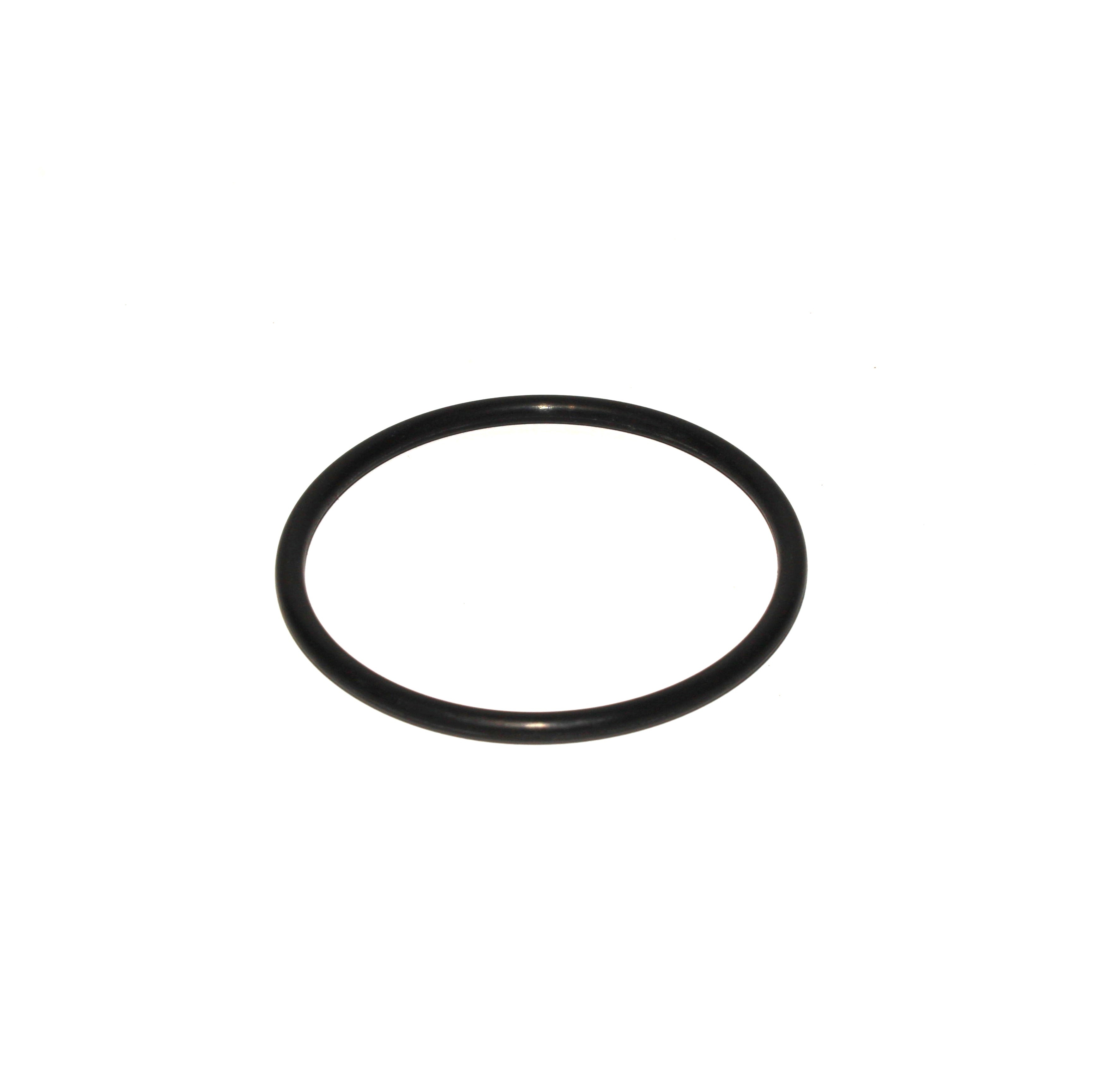 1" & 1" LINE STRAINER GASKET